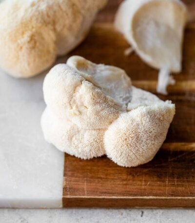 Lion's Mane