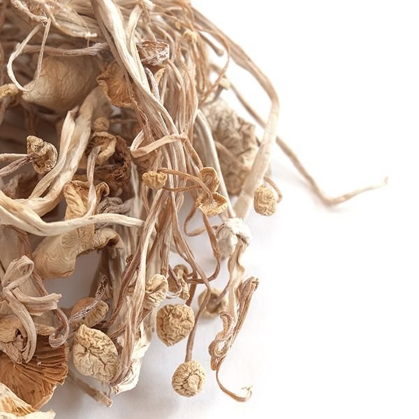 where to buy enoki mushrooms