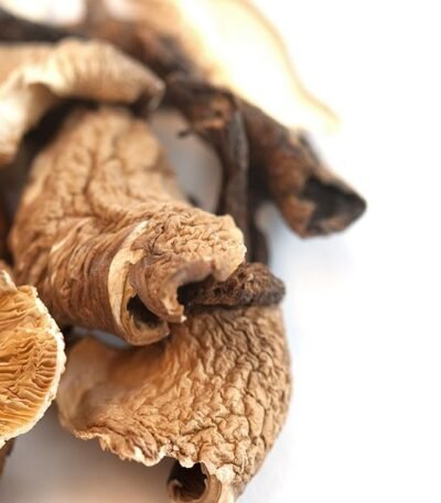Native Forest Organic Mushrooms Pieces