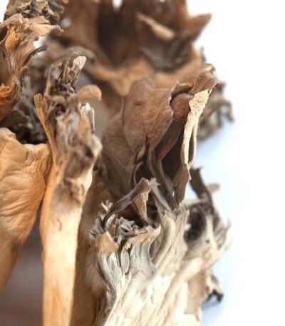 fresh maitake mushrooms