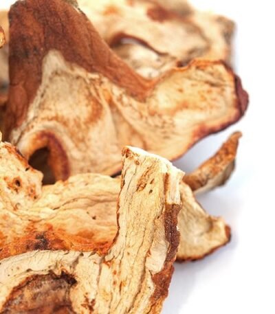 Dried Lobster Mushroom
