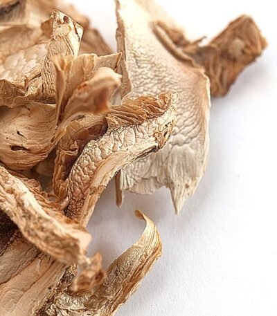 matsutake mushroom price