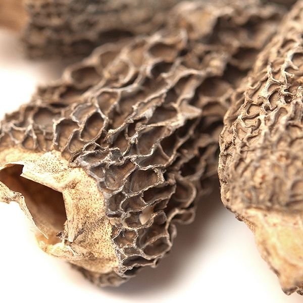 Morel Mushrooms