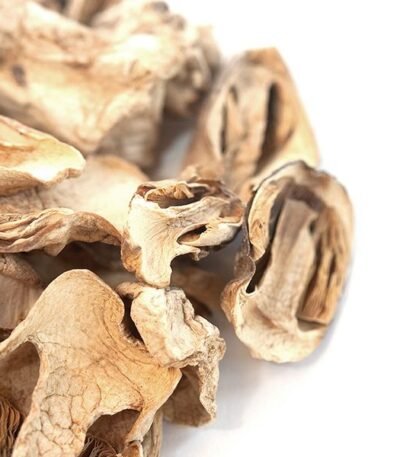 Mushroom Paddy Straw​